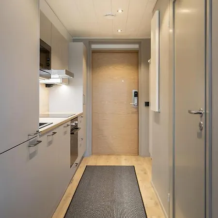 Levin Kunkku B1 Apartament Levi