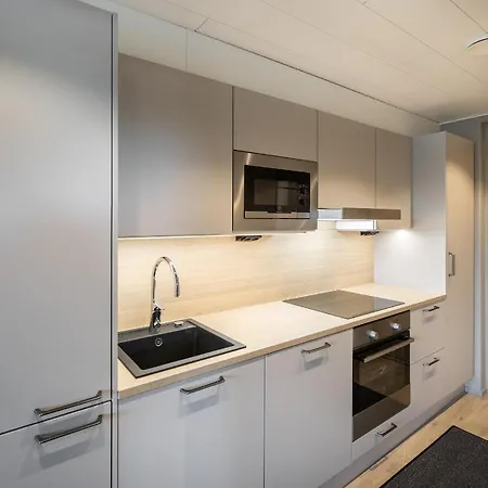 Levin Kunkku B1 Apartament *